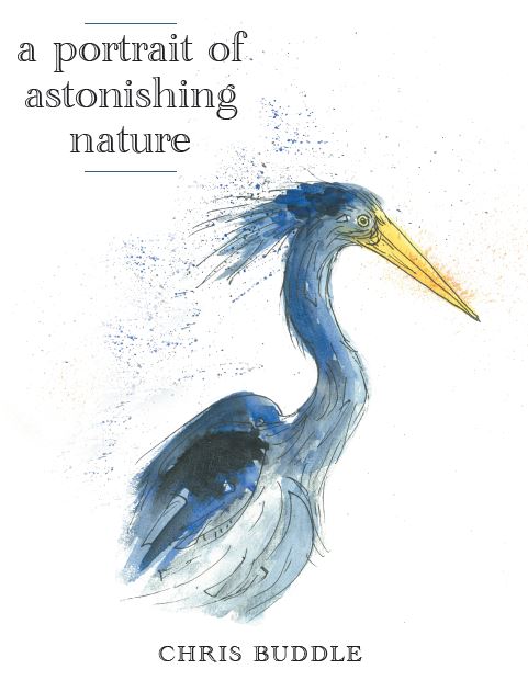 Book! Portraits of Nature – Nature's Reverie